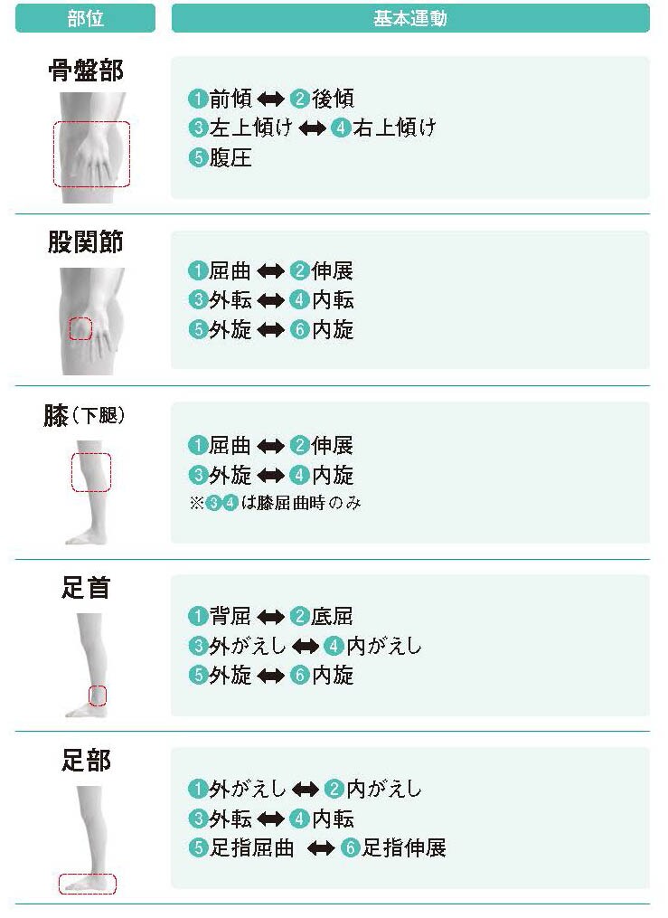 各部位の基本運動【スポーツ障害予防の教科書】