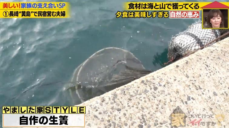 家、ついて行ってイイですか?