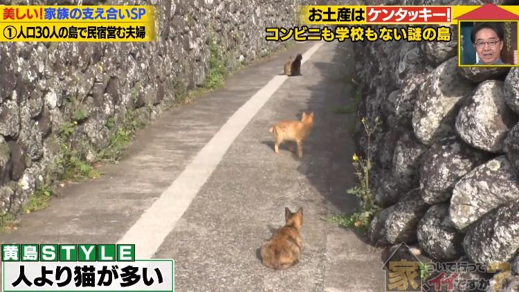 家、ついて行ってイイですか?