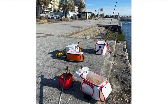 ウキフカセ釣りで30cm超クロダイ連発！【静岡・浜名湖】フグの猛攻をかわして攻略