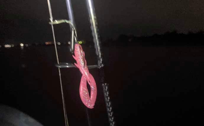 雪中ボートロックゲームでカサゴと対面【三重】シャッドテールワームにヒット