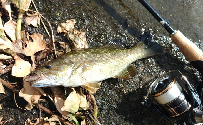 メジャーフィールド「紀の川」でバスフィッシング堪能【和歌山】50cm級バスを狙い撃つ！