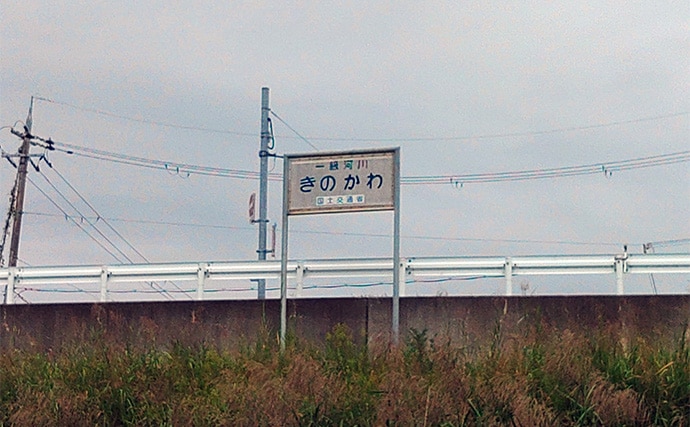 メジャーフィールド「紀の川」でバスフィッシング堪能【和歌山】50cm級バスを狙い撃つ！