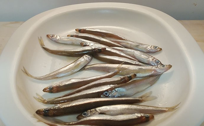 釣魚で作る「日本酒の肴」レシピ：ワカサギのみりん干し　濃い目の味付けが◎
