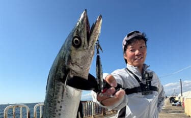 『大阪南港魚つり園』で連日サゴシ好調! ハマチも到来でいよいよ秋爆スタートか?