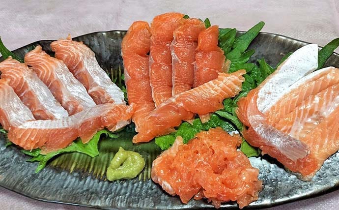 琵琶湖のレイクトローリングでビワマス連発【滋賀県】48cm頭に2人で10匹達成