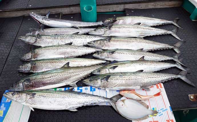 沖のキャスティングゲームでメタボサワラ連発！全員安打のチャンスあり【三重】