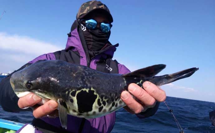 関東エリアの【船釣り特選釣果】東京湾のシロギス絶好調！束釣り達成者も現る