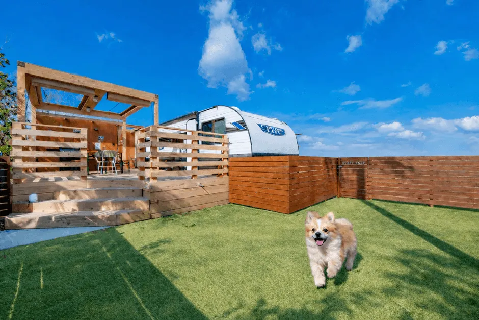 愛犬同伴可能客室に付帯する専用ドッグラン