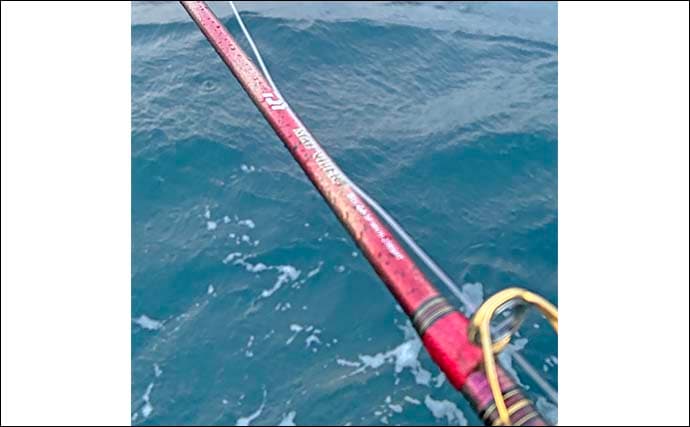 糸島半島沖の泳がせ釣りで70cm級ヤズ手中【福岡・幸風】良型ヒラメ＆アコウもヒット