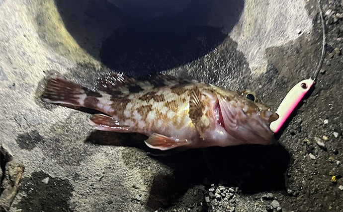 「ボロボロのルアーは捨てちゃダメ!」 使用済みルアーの再利用法4選を紹介