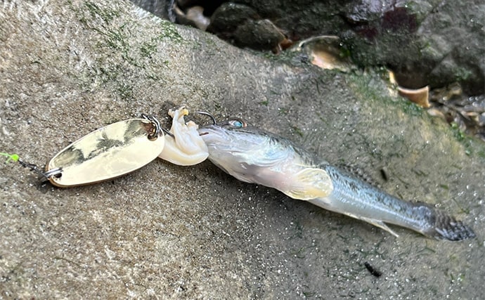 「ボロボロのルアーは捨てちゃダメ!」 使用済みルアーの再利用法4選を紹介