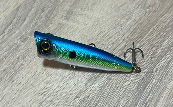 「ボロボロのルアーは捨てちゃダメ!」 使用済みルアーの再利用法4選を紹介