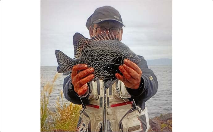 東伊豆・大難の石物釣りで1kg級イシガキダイをキャッチ【静岡】サザエにヒット