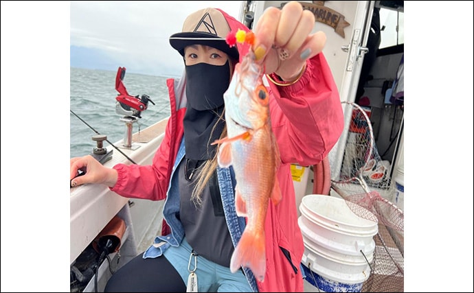 アカムツ釣りで本命続々!【富山・大将軍丸】誘いやハリスの長さ調整でアタリ引き出す