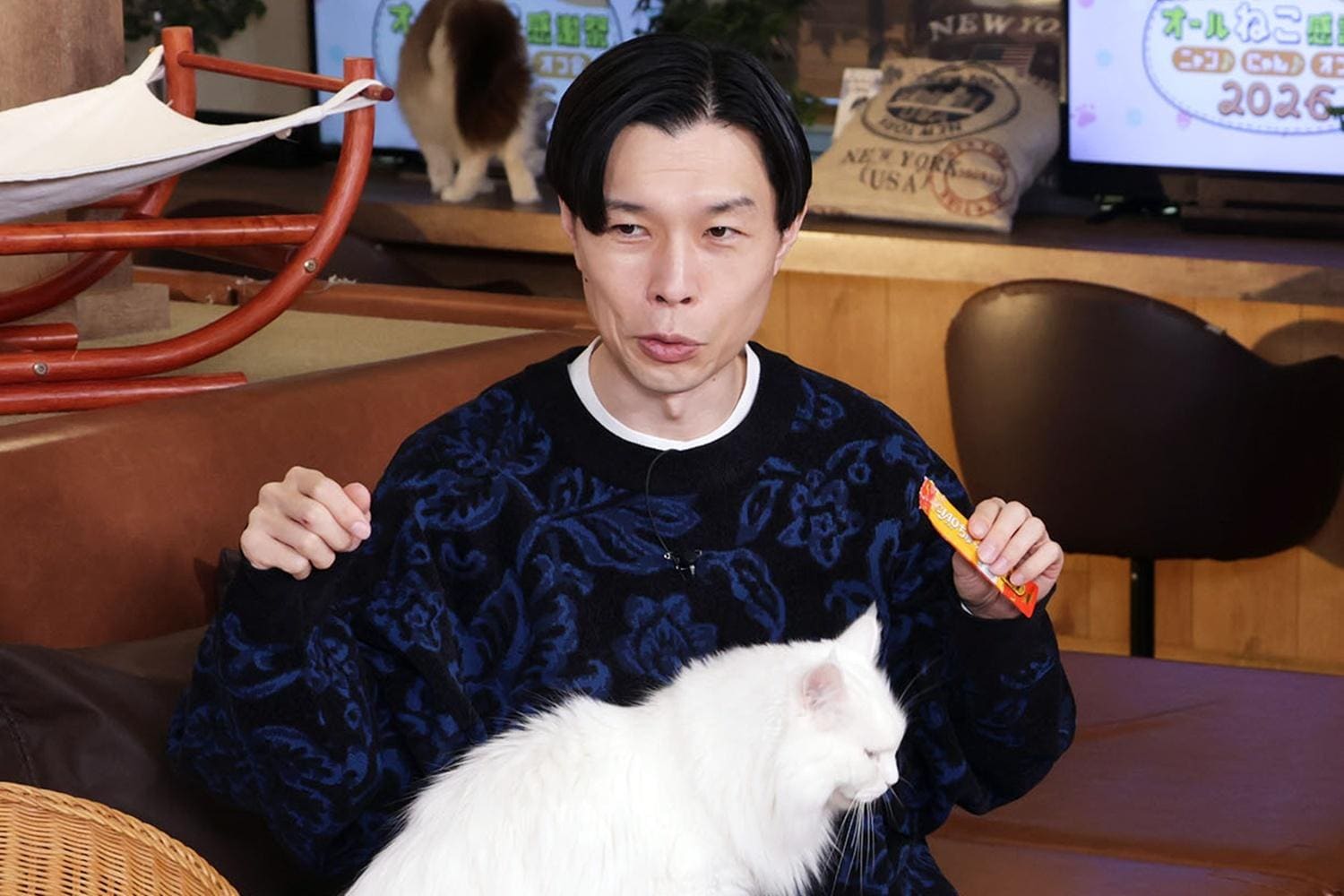 「オール猫感謝際」中川翔子＆岩井勇気インタビュー