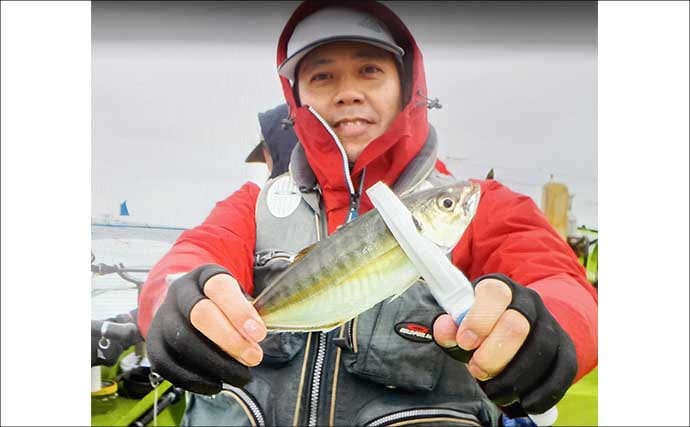 東京湾の午前LTアジ釣り便でトップ45尾キャッチ！【神奈川】家族連れも連発で大盛況