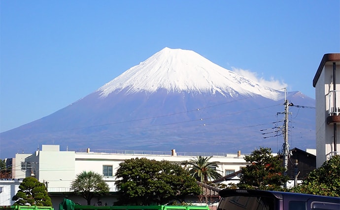 屋内釣り堀でコイのツ抜けに成功！【静岡】底釣りと宙釣りの使い分けがキモ？
