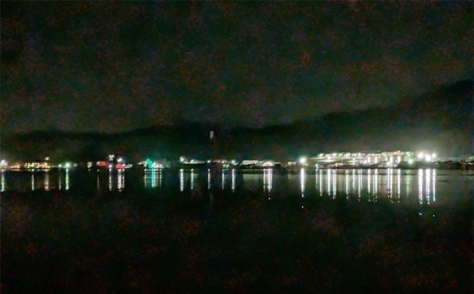 集魚灯アジングで4目釣り達成！【京都】ガシラ・アコウ・セイゴに本命アジも登場