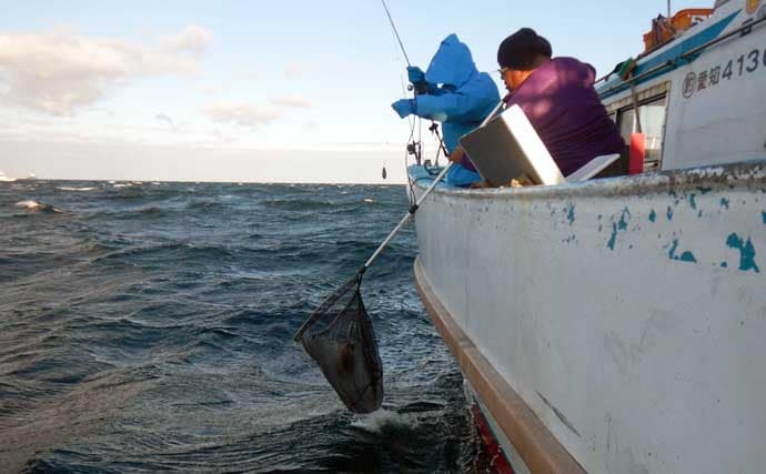 伊良湖沖のコウイカ釣りで胴長21cm頭に5匹好捕【愛知】独特の『ズンッ』としたアタリに病みつき