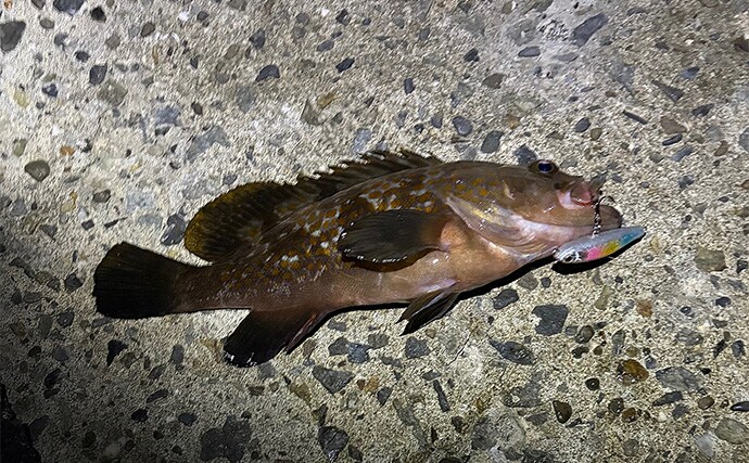 魚がバレる＆針掛かりしない時に検証すべき3つの仮説　変化を加えることが重要