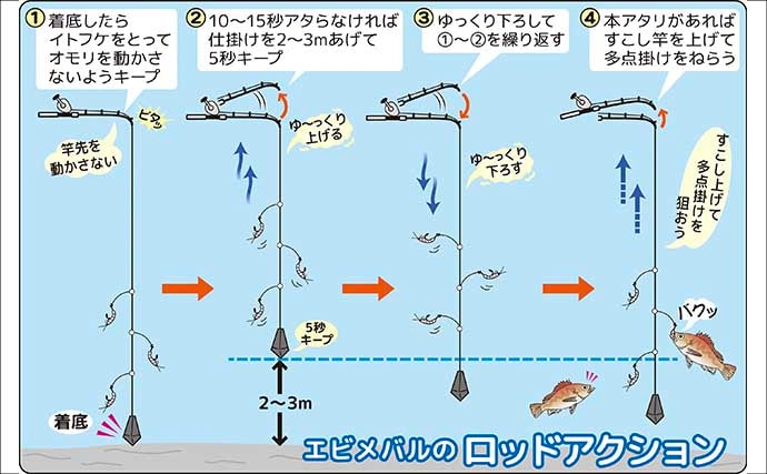 春告魚『クロメバル』を狙うエビメバル釣り入門【東京湾】活モエビの付け方と誘い方を解説