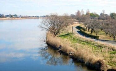 今週のヘラブナ推薦釣り場2026【群馬県・城沼】