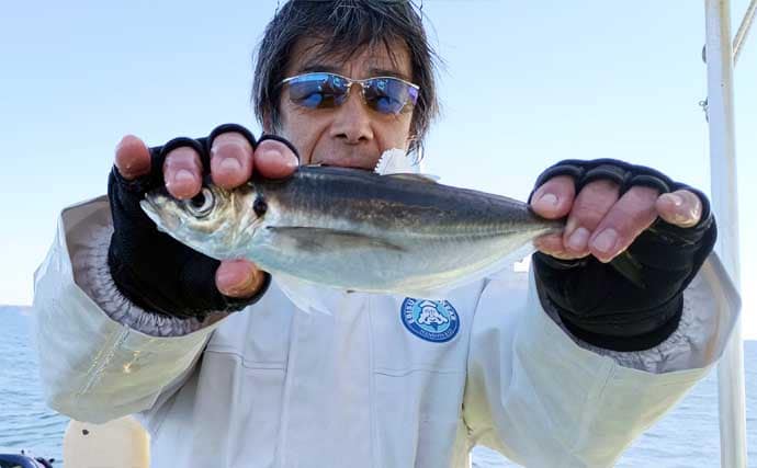 東京湾走水のビシアジ釣りで40cm超え大型アジキャッチ成功！ 降雪による食い渋りに苦戦