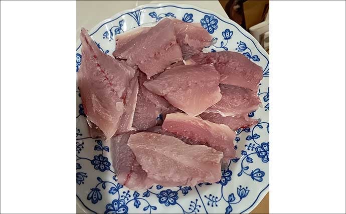 東京湾走水のビシアジ釣りで40cm超え大型アジキャッチ成功！ 降雪による食い渋りに苦戦