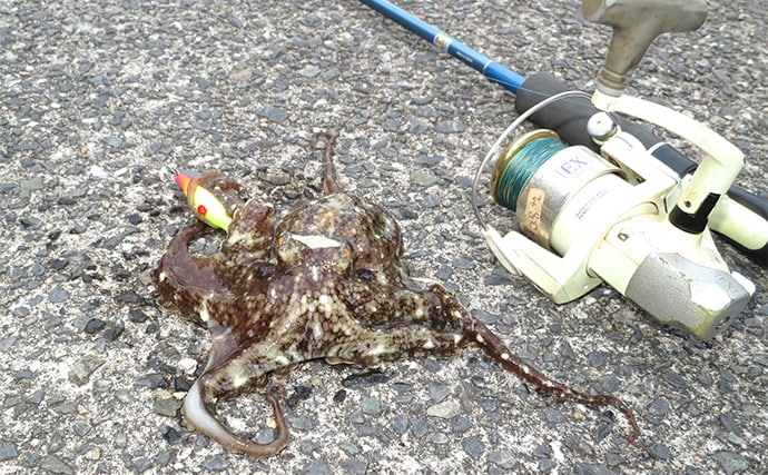 「4つのタイプから選べば間違いなし！」 初めての海用釣り竿（ロッド）購入ガイド