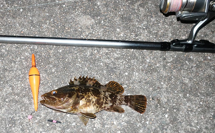 「4つのタイプから選べば間違いなし！」 初めての海用釣り竿（ロッド）購入ガイド