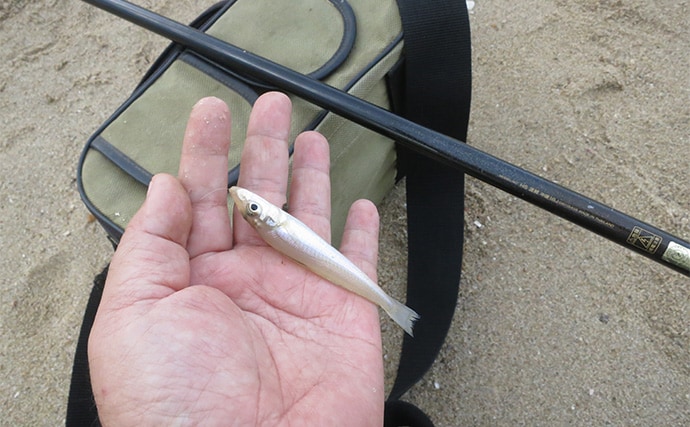 「4つのタイプから選べば間違いなし！」 初めての海用釣り竿（ロッド）購入ガイド