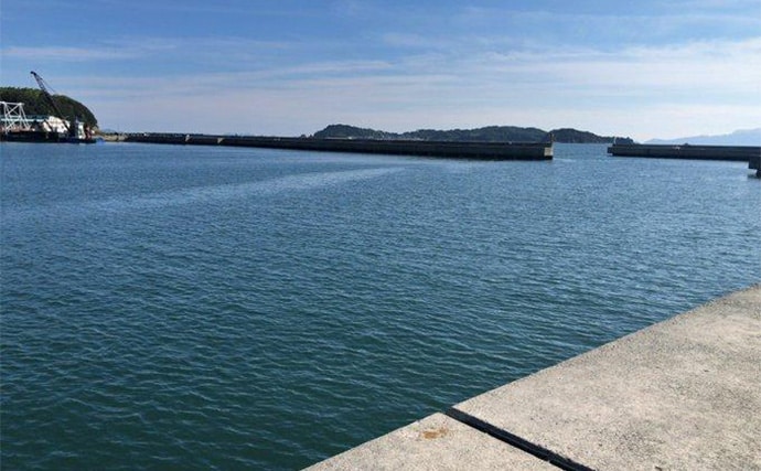 陸っぱりヒラメゲームで「60cmランカー級マゴチ」がヒット！ 本命不発もゲスト連発