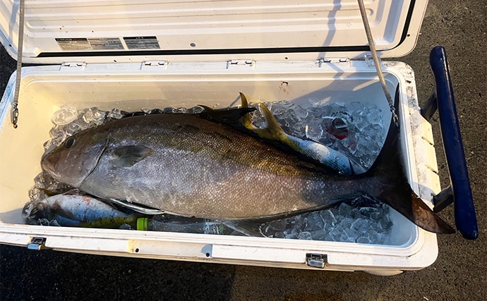 大物釣りの聖地『銭洲』で9.5kgカンパチをキャッチ！【とび島丸】ムロアジ泳がせ釣りにヒット