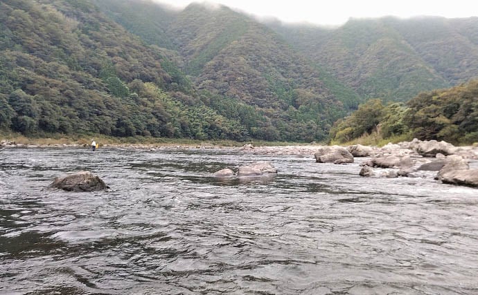四万十川の大アユ釣りで31.6cm尺アユ登場!【高知】2日間で3尾の尺超え達成