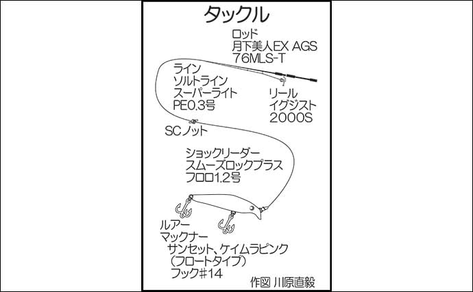周防大島でのメバリングで29cmメバルをキャッチ！【山口】プラグルアーにヒット