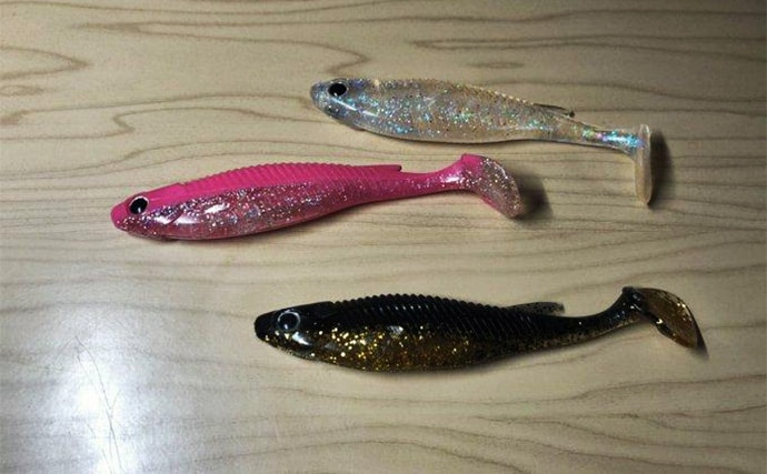 秋の陸っぱりルアーヒラメ釣りにワームがオススメな理由 実績ワーム5選も紹介