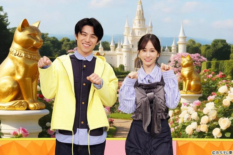 かわいい猫ちゃん集合！鉢にスッポリ、逆さに穴にハマる、お手本のような寝落ち…貴重な瞬間大放出