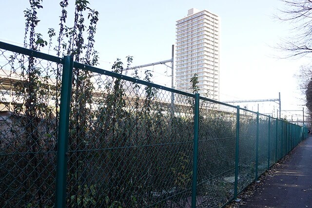 確認しに行ってみると、やはりないのだった