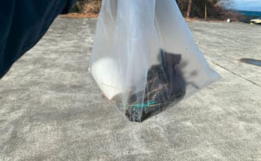 捨てられたペットボトルは【魚の死のゆりかご】 海洋ゴミによる見逃しがちな悪影響とは?