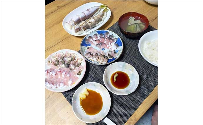 「炙りが大好評！」ショアジギングでカマス連打【和歌山】ブレードジグに好反応