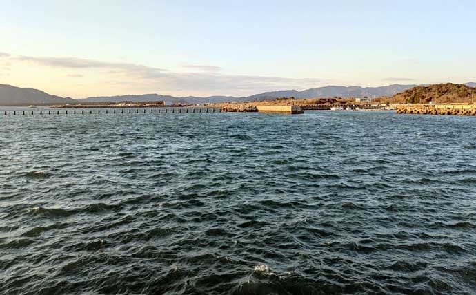 「炙りが大好評！」ショアジギングでカマス連打【和歌山】ブレードジグに好反応