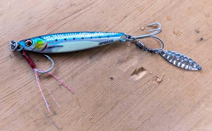 「炙りが大好評！」ショアジギングでカマス連打【和歌山】ブレードジグに好反応