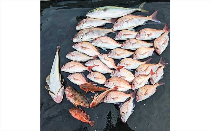 「50cmマダイ登場で大興奮！」鳥羽沖のタイラバ釣りでワラサ交じりの五目達成【三重】