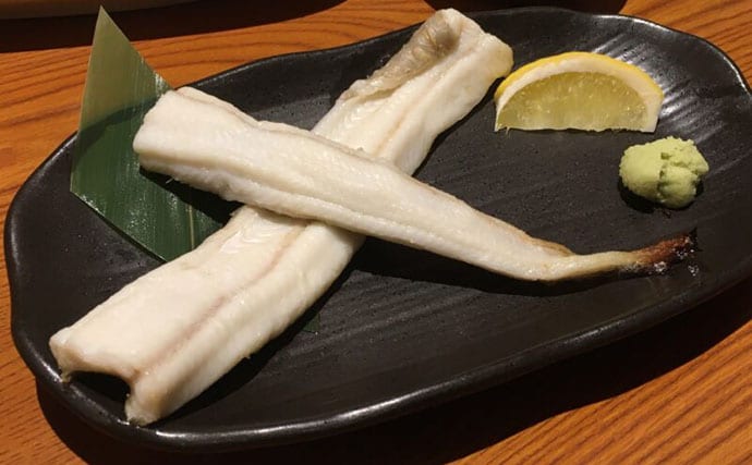 庶民の味だった＜アナゴ＞が高級魚になったワケ　未だ謎が多い生活史とは？