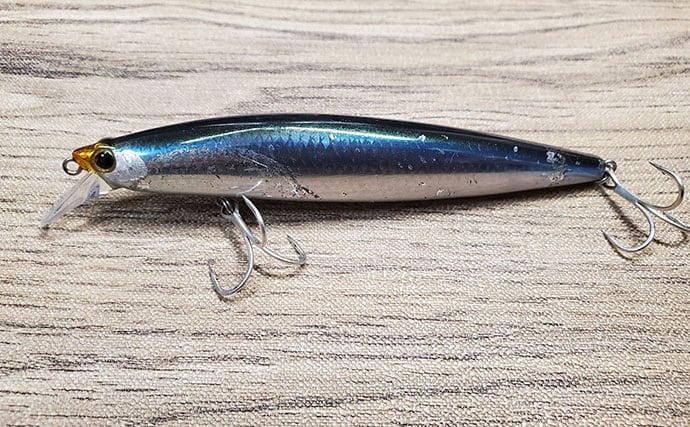 マイワシが大量に漂着した海岸で55cmシーバスをキャッチ【新潟】ストラクチャー狙いが的中