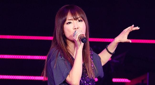 「ANIMAX MUSIX 2014 YOKOHAMA」奥井雅美　※提供画像