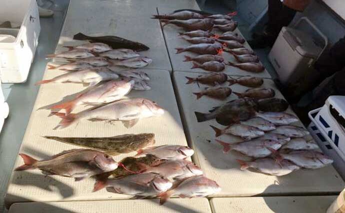 【沖釣り釣果速報】島原沖のタイラバでガツンとヒット！70cm超えマダイ浮上（大分・熊本）