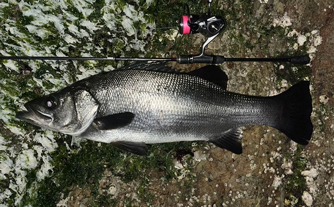 「想定外の大型魚がヒット！」 夜磯メバリング釣行で良型ヒラスズキを手中【福岡】