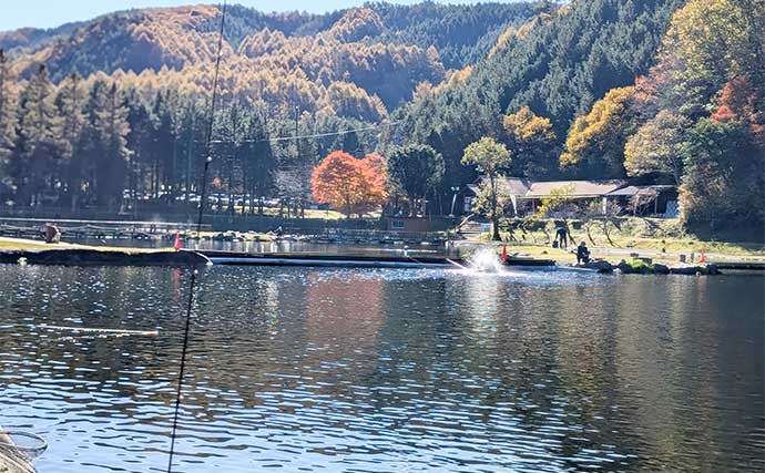 平谷湖フィッシングスポットのエリアトラウトでニジマス19匹手中【長野】クランクのデッドスローが鍵に